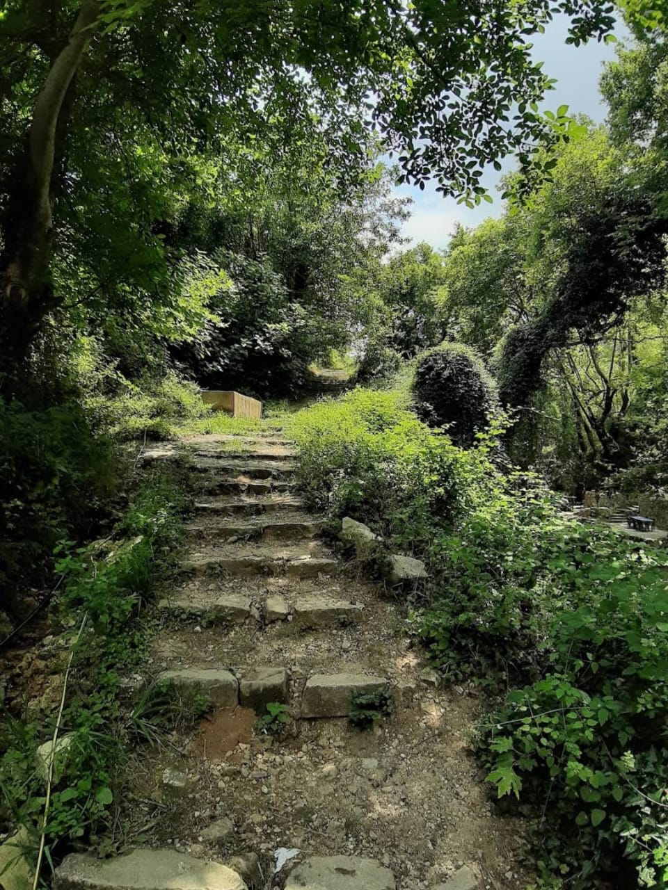 وادي بكراما و مطعم جنة الوادي — 2