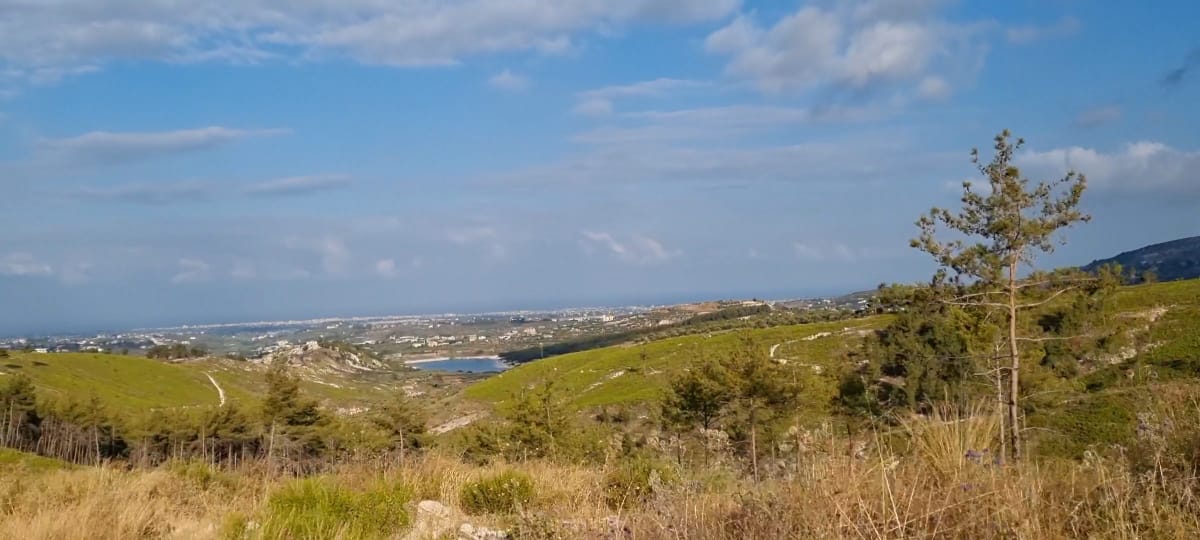 غابة الصنوبر و إطلالة سد كفردبيل — 3
