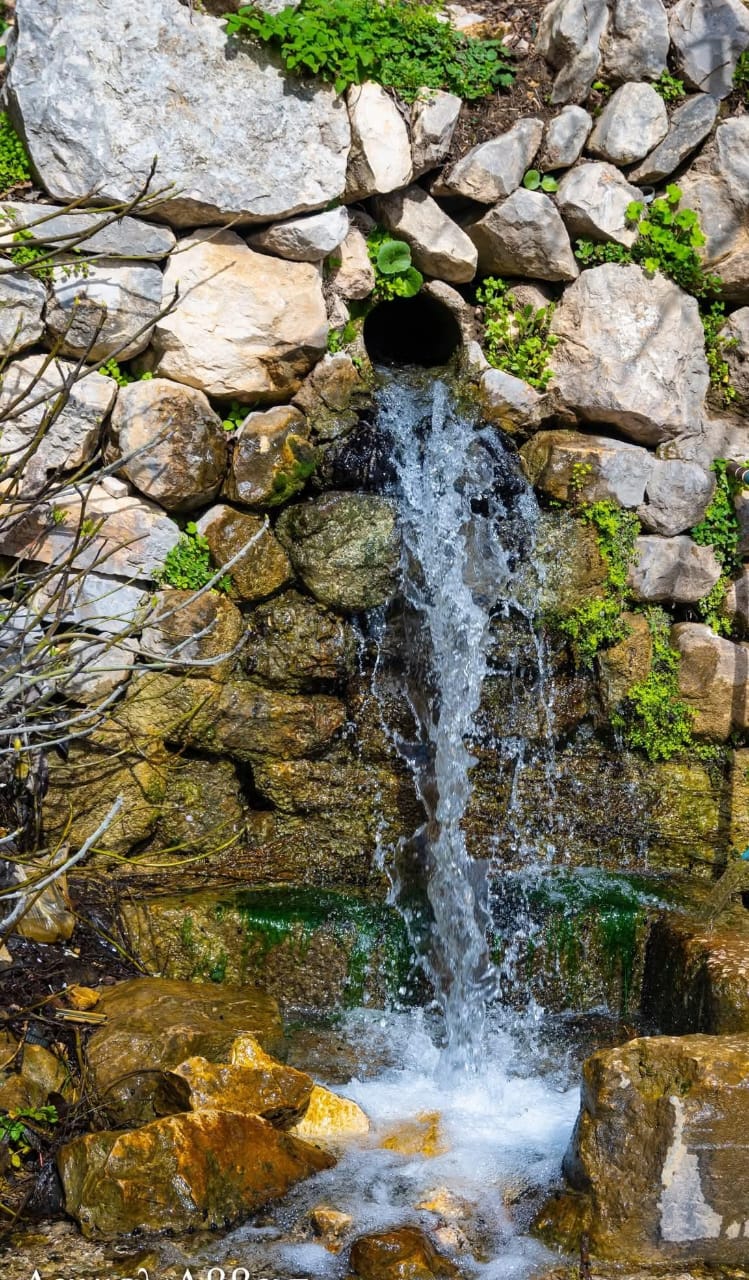 ينابيع مياه عذبة — 1