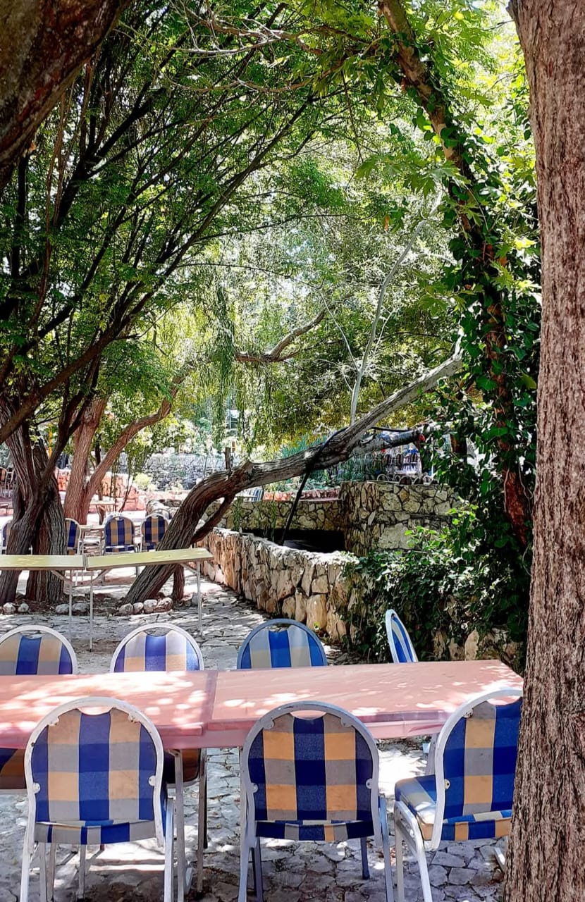 مطعم و مسبح نسمة الوادي — 8